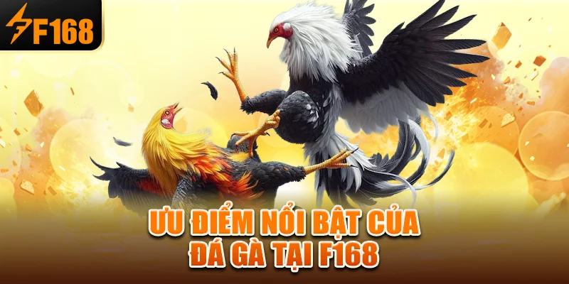Ưu điểm nổi bật của đá gà tại f168